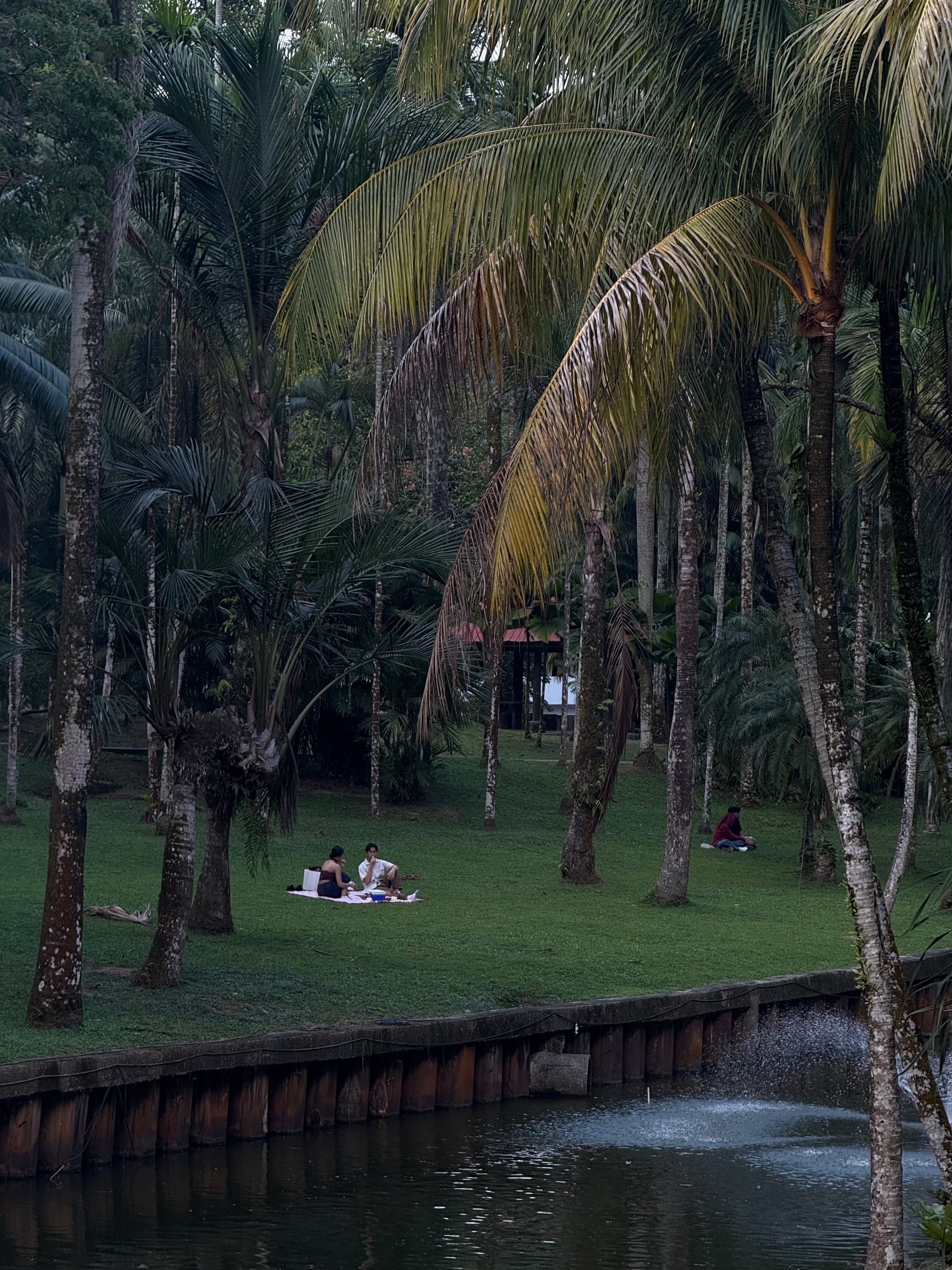 The problem with the internet