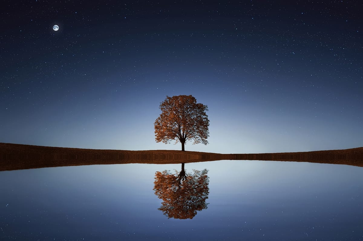 2020: End year in reflection