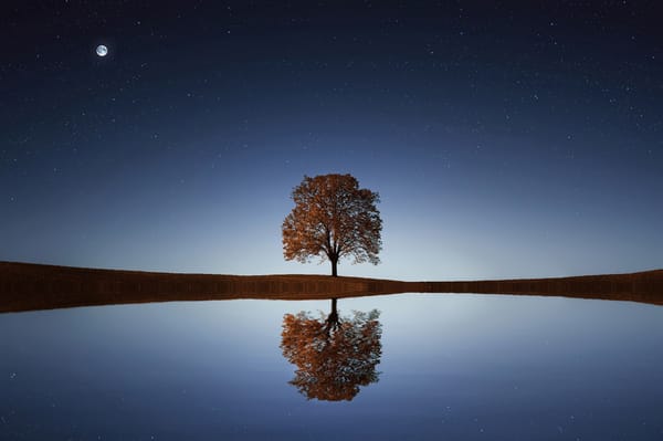 2020: End year in reflection